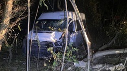 Микроавтобус врезался в дерево в Георгиевске
