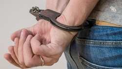 Уроженца Ставрополья задержали в Москве по подозрению в растлении детей