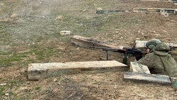 Поправки о льготах для гражданских жён погибших участников СВО приняла Госдума