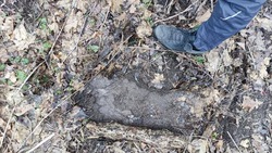«Следы бигфута» нашли в Железноводске рядом с пещерой древних людей