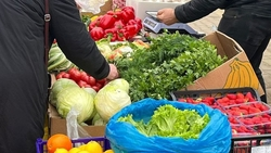 С начала 2024 года на Ставрополье провели 4 тыс. ярмарок