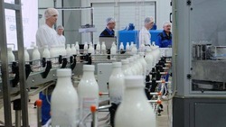 Молокозавод в Невинномысске собирается расширить производство до 200 тонн молока ежесуточно