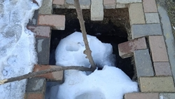 Дыру в тротуаре устранят после обращения ставропольчанки в «Победу26»