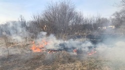 Ставропольские пожарные за 20 минут потушили 300 кв.м горящей травы