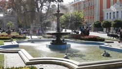 Госпрограмму медицинской реабилитации участников СВО разработают на Ставрополье