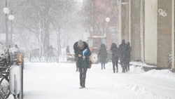 Непогода осложняет дорожное движение и валит деревья в округах Ставрополья
