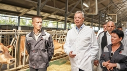 Губернатор Владимиров посетил буйволиную ферму в Александровском округе