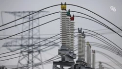 Более 20 км старых ЛЭП заменят на современные на Ставрополье — губернатор
