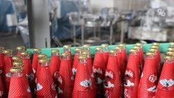 Жители Ставрополя летом выпили более 150 тонн прохладительных напитков 