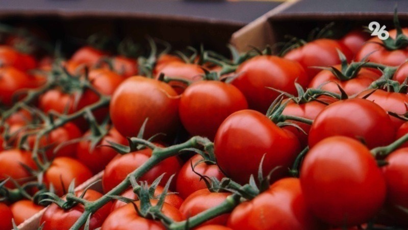 Партию заражённых томатов объёмом 17 тонн не пропустили на Ставрополье