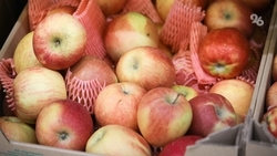 Бережливые технологии помогли предприятию на Ставрополье увеличить выработку почти на 13% 