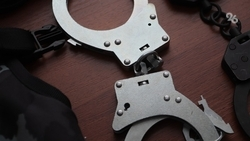 Уроженца Чечни задержали во Франции по обвинению в подготовке теракта