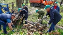 Субботники пройдут на Ставрополье в рамках экологического марафона