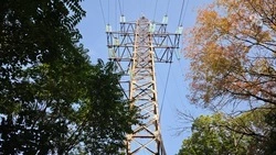3 млрд рублей планируют направить на модернизацию электросетей на Ставрополье 