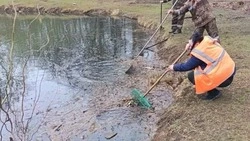 Водоём в парке «Шерстяник» очищают ежедневно — глава Невинномысска 