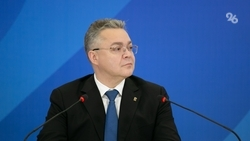 Глава Ставропольского края встретится с инвесторами на форуме в Санкт-Петербурге