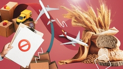 Предпочитают мягкие сорта: как запрет на экспорт зерновых повлияет на ставропольских производителей