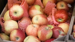 Экспортируемые яблоки проверили в Россельхознадзоре Ставрополья 