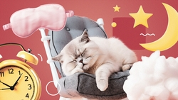 Отказаться от шоколада и острого: что нужно ставропольцам для хорошего сна