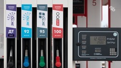 Стоимость бензина на Ставрополье оказалась самой низкой в СКФО