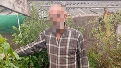 Ставропольца отправили в колонию за создание конопляной фермы