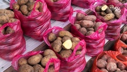 Экономист назвала причины роста стоимости картофеля на Ставрополье 