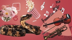 Концерт Лёши Свика, День матери и симфонический сказ: как провести последние осенние выходные в Ставрополе