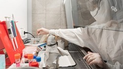  На базе университета в Ставропольском крае создадут лабораторию по изучению новых штаммов коронавируса