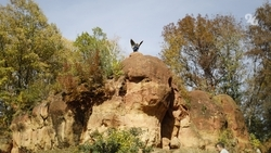 Уличную картинную галерею протяжённостью 80 метров создадут в Кисловодске