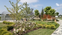 Почти два десятка малых объектов благоустроят на Ставрополье до конца года