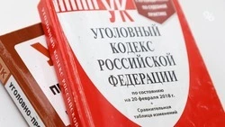 Глава СКР стал на защиту прав молодой мамы из Ставропольского края