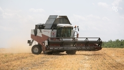 Ставрополье заняло второе место по выплатам по агрострахованию среди южных регионов