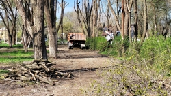 Ещё одну аллею благоустроят на Ставрополье 