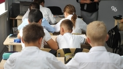 Учитель русского языка появится в ставропольском селе после прямой линии губернатора