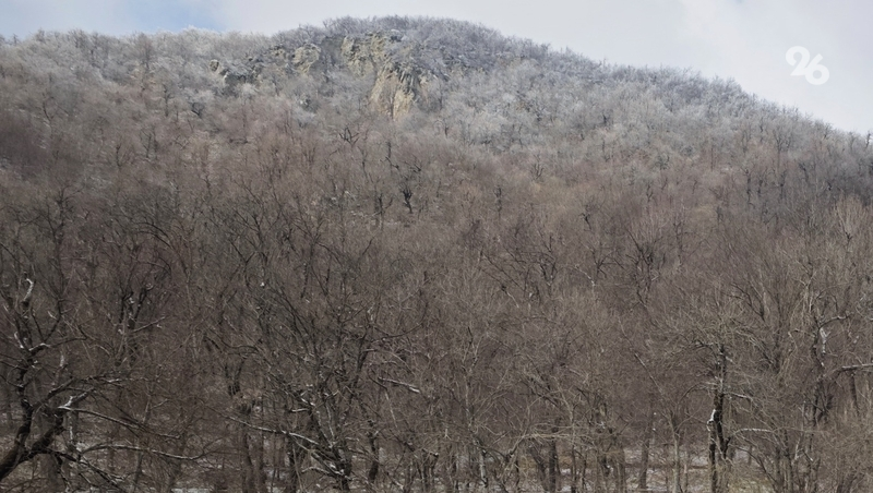 15 БПЛА сбили в Северной Осетии