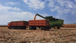 Урожай зерновых и зернобобовых на Ставрополье превысил 9 млн тонн