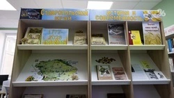 Библиотеки Кисловодска приняли более 290 тыс. посетителей с начала года