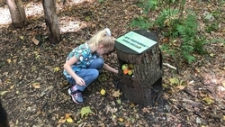 Глава Ставрополья пригласил жителей и гостей края погулять по экотропам  региона