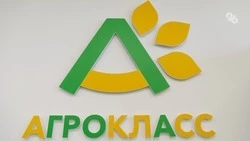 Ещё три агрокласса откроют в Минераловодском округе