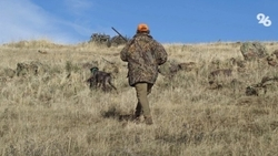 Минприроды Ставрополья разработало карту для охотников