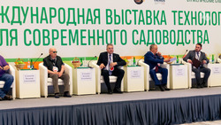 Эксперты «ProЯблоко 2022»: садоводство России остаётся импортозависимым