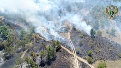 Проверка по делу о пожаре на горе Куцай выявила недочёты в работе лесничеств
