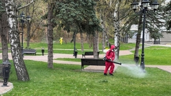 В Кисловодске распылят 3 тонны акарицида для борьбы с клещами