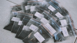 Ученые СКФУ разработали инновационный способ очистки воды с помощью магнитного угля