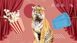 Цирковые огни и театральные подмостки: превращаем выходные в Ставрополе в увлекательное событие