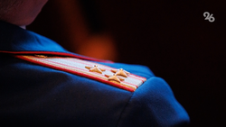 Главе СКР Бастрыкину доложат о нападении собак на детей в Георгиевске