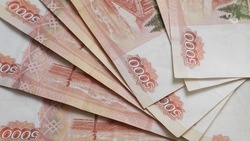 Петербуржец обманул более сотни ростовчан, ставропольцев и краснодарцев на 41 млн рублей