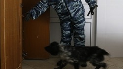 В Кисловодске эвакуировали 650 человек из-за ложных сообщений о минировании