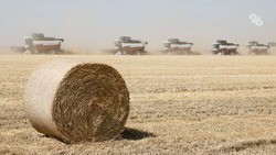 Дума Ставрополья предложила расширить меры поддержки сельского хозяйства в стране
