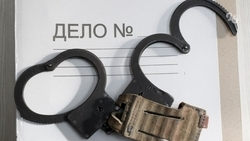 Бастрыкину доложат о расследовании группового избиения студентки в Ставрополе